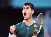 蜂鸟-纳达尔新星问鼎冠军表现惊艳，法国队未来可期！的简单介绍