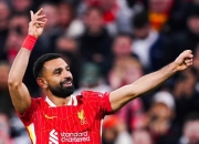 蜂鸟电竞- allyeararound是什么意思 